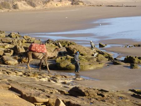taghazout plage