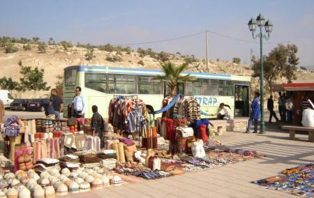 bus zitrap